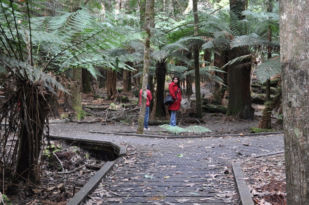 Dip Falls Forest Reserve | park | Mawbanna TAS 7321, Australia