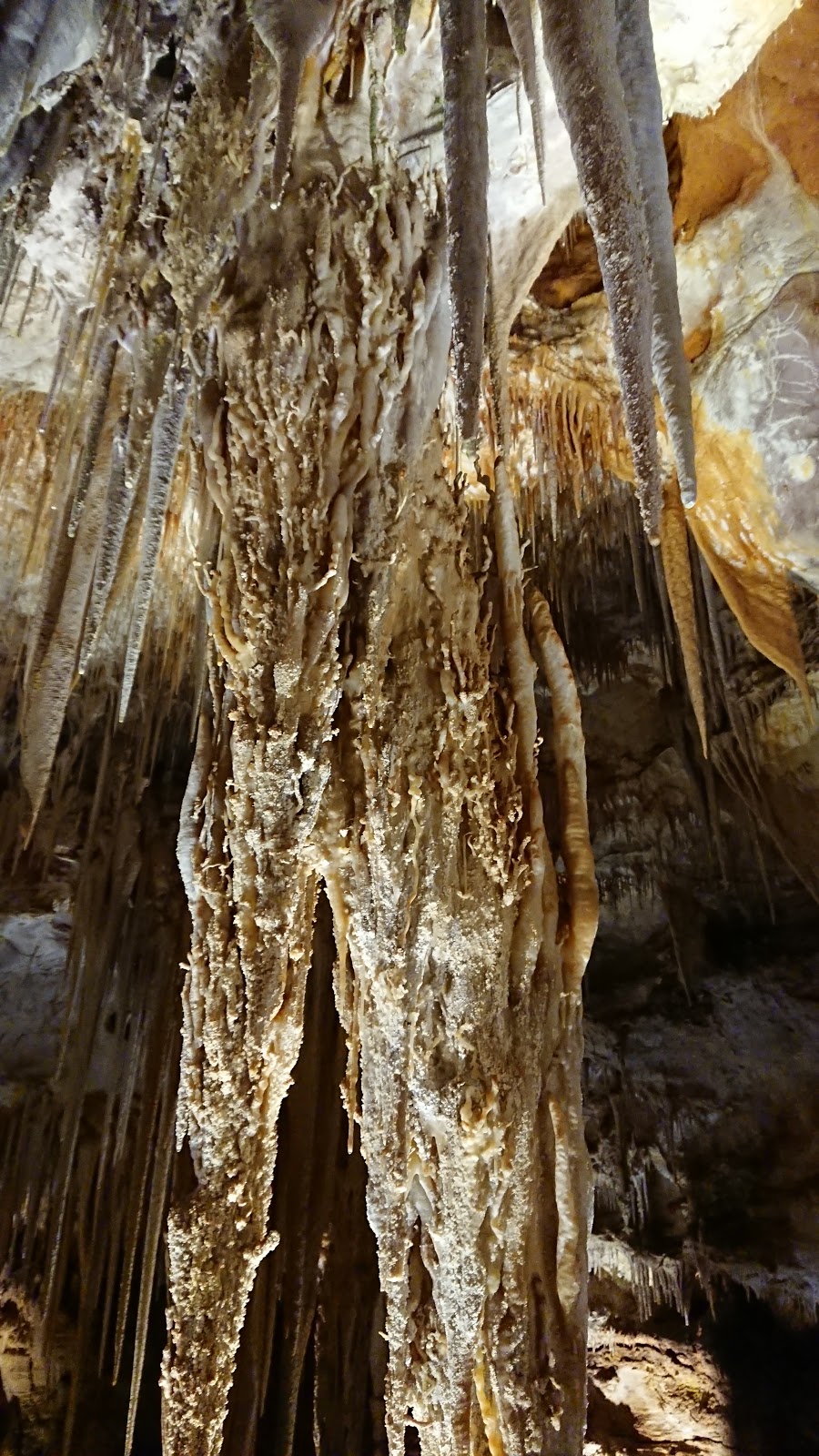 Tantanoola Caves Conservation Park | 32047 Princes Hwy, Tantanoola SA 5280, Australia | Phone: (08) 8734 4153