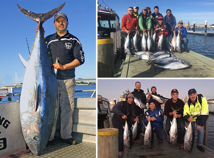 Gone Fishing Charters - Portland Tuna Charters | Lee Breakwater Rd, Portland VIC 3305, Australia | Phone: 0409 007 068