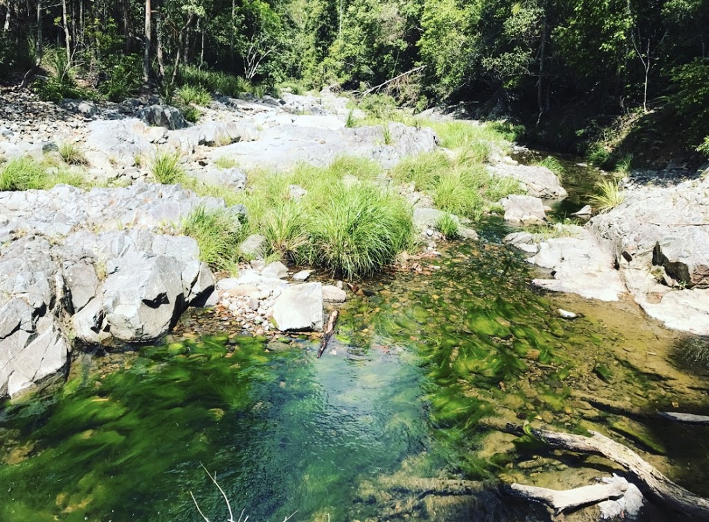 Bellthorpe National Park | park | Bellthorpe QLD 4514, Australia