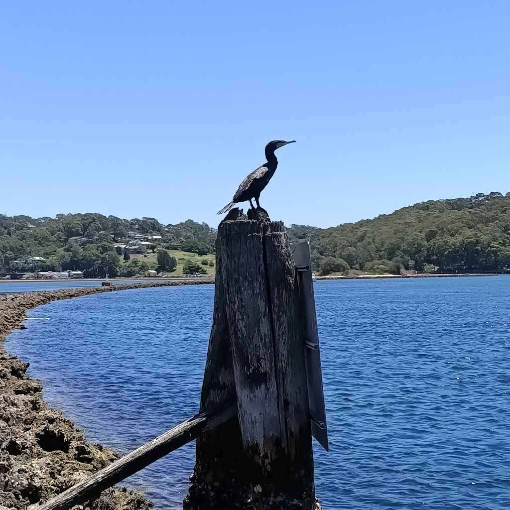 Narooma Swimming Centre | LOT 7011 Bluewater Dr, Narooma NSW 2546, Australia | Phone: (02) 4476 2398