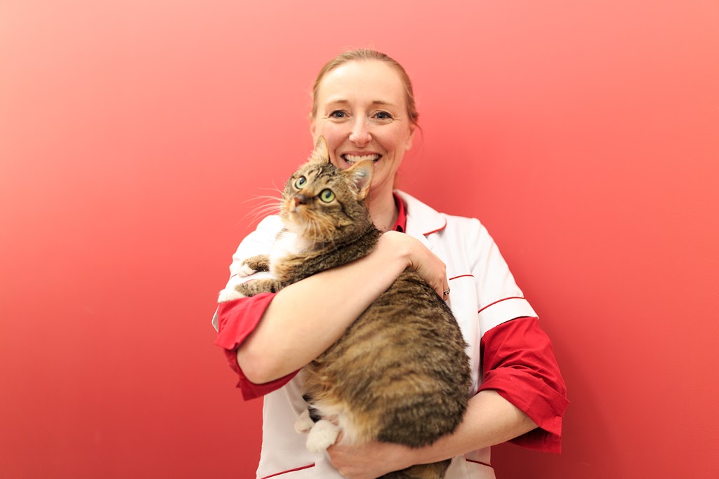 Canberra Cat Vet | veterinary care | 16-18 Purdue St, Belconnen ACT 2617, Australia | 0262511444 OR +61 2 6251 1444