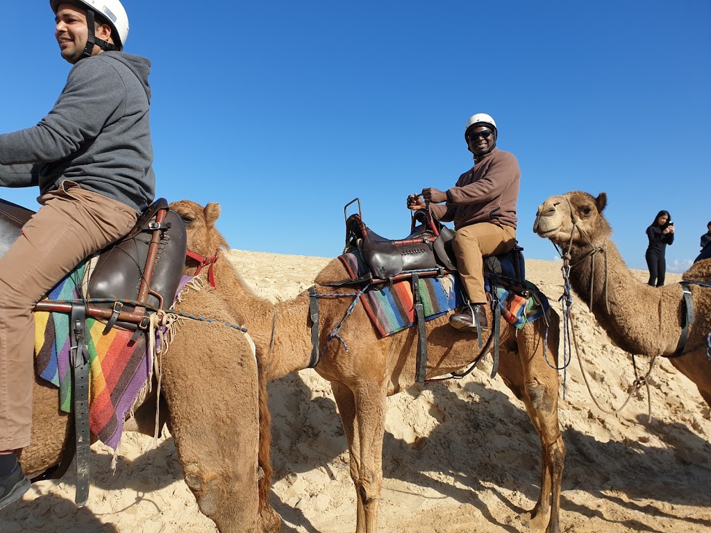 Sand Dune Safaris | Lower Car Park End of, James Paterson St, Anna Bay NSW 2316, Australia | Phone: 0425 213 096