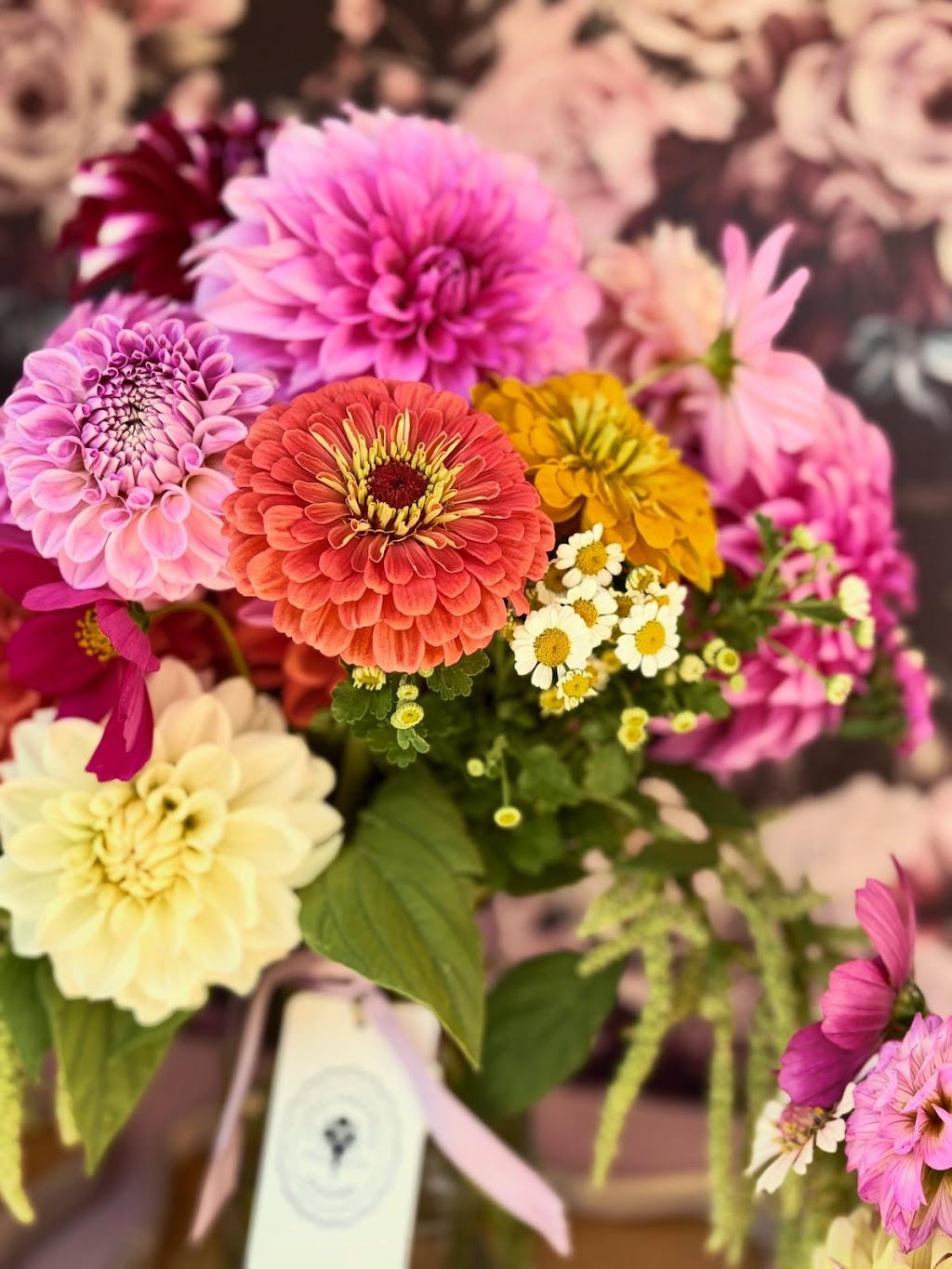 Little Sheepwash Blooms | 1241 Sheepwash Rd, Fitzroy Falls NSW 2577, Australia | Phone: 0405 026 989