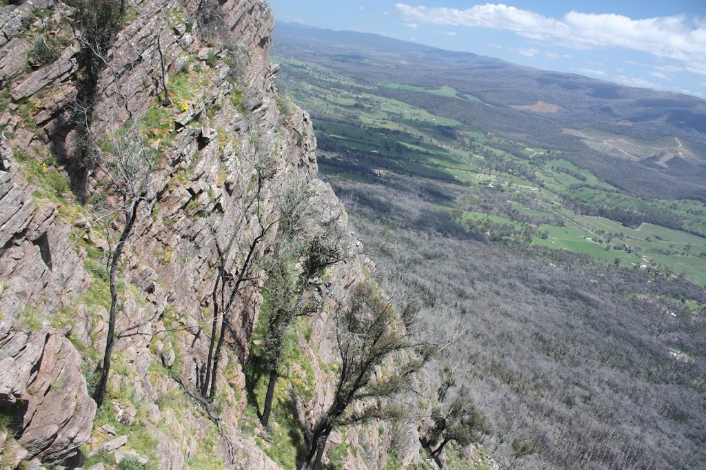 Cathedral North Peak | park | Cathedral Circuit, Taggerty VIC 3714, Australia