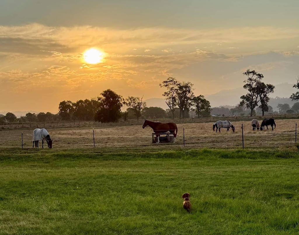 KPH Agistment | 7678 Mount Lindesay Hwy, Beaudesert QLD 4285, Australia | Phone: 0403 386 053