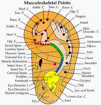 Maleny Acupuncture | 26 Coral St, Maleny QLD 4552, Australia | Phone: (07) 5435 2555