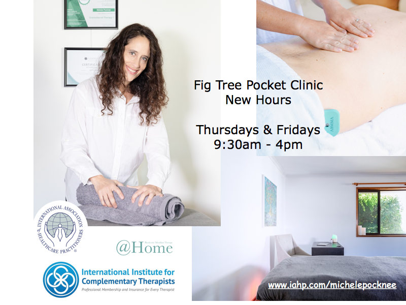 Michele Pocknee Remedial Massage Therapist Bioelectric | 88 Botticelli St, Fig Tree Pocket QLD 4069, Australia | Phone: 0434 902 611