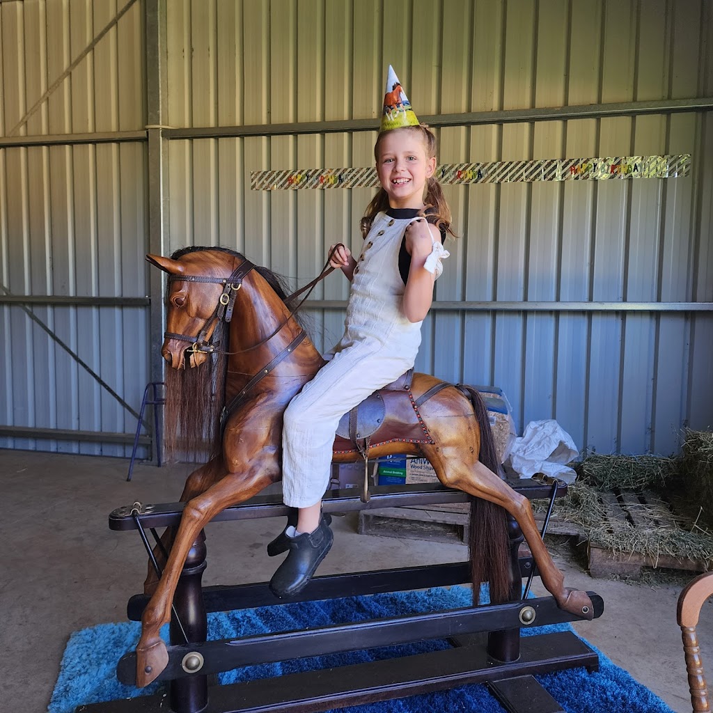 Hinterland Horses Byron Bay | 22 Blackbean Ln, Federal NSW 2481, Australia | Phone: 0407 813 321