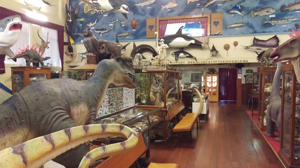 Museum of Natural History | 131 James St, Guildford WA 6055, Australia | Phone: (08) 9377 3884
