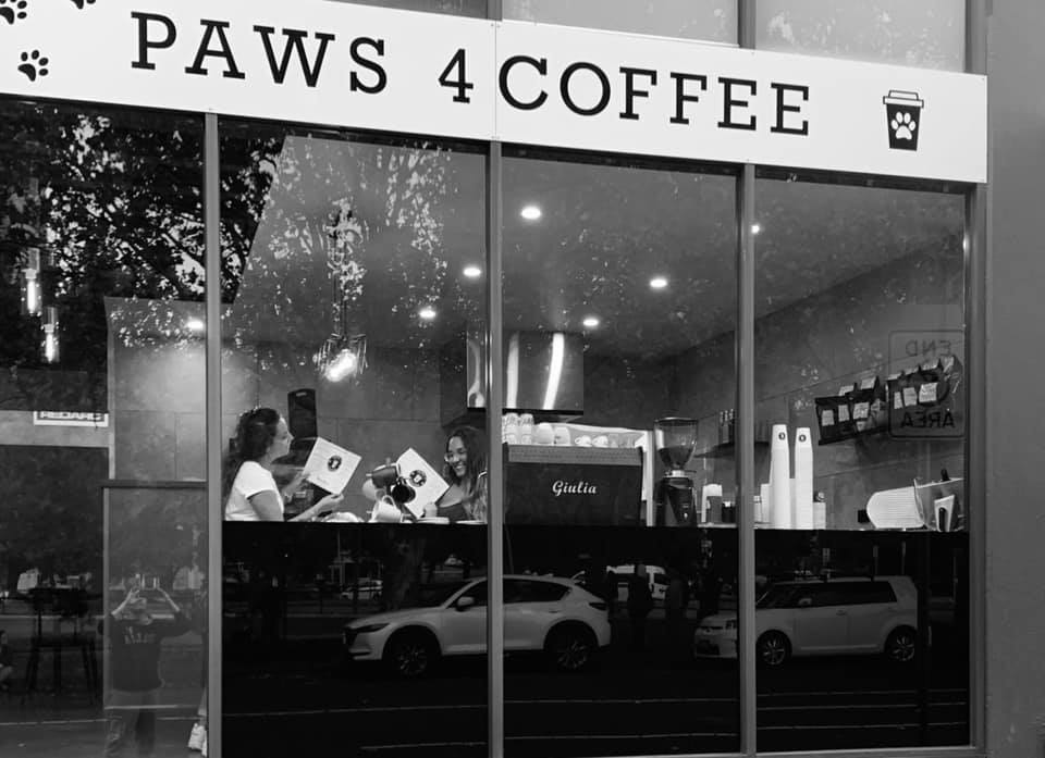 Paws 4 Coffee | 11-13 Boundary Rd, North Melbourne VIC 3051, Australia | Phone: 0424 075 065