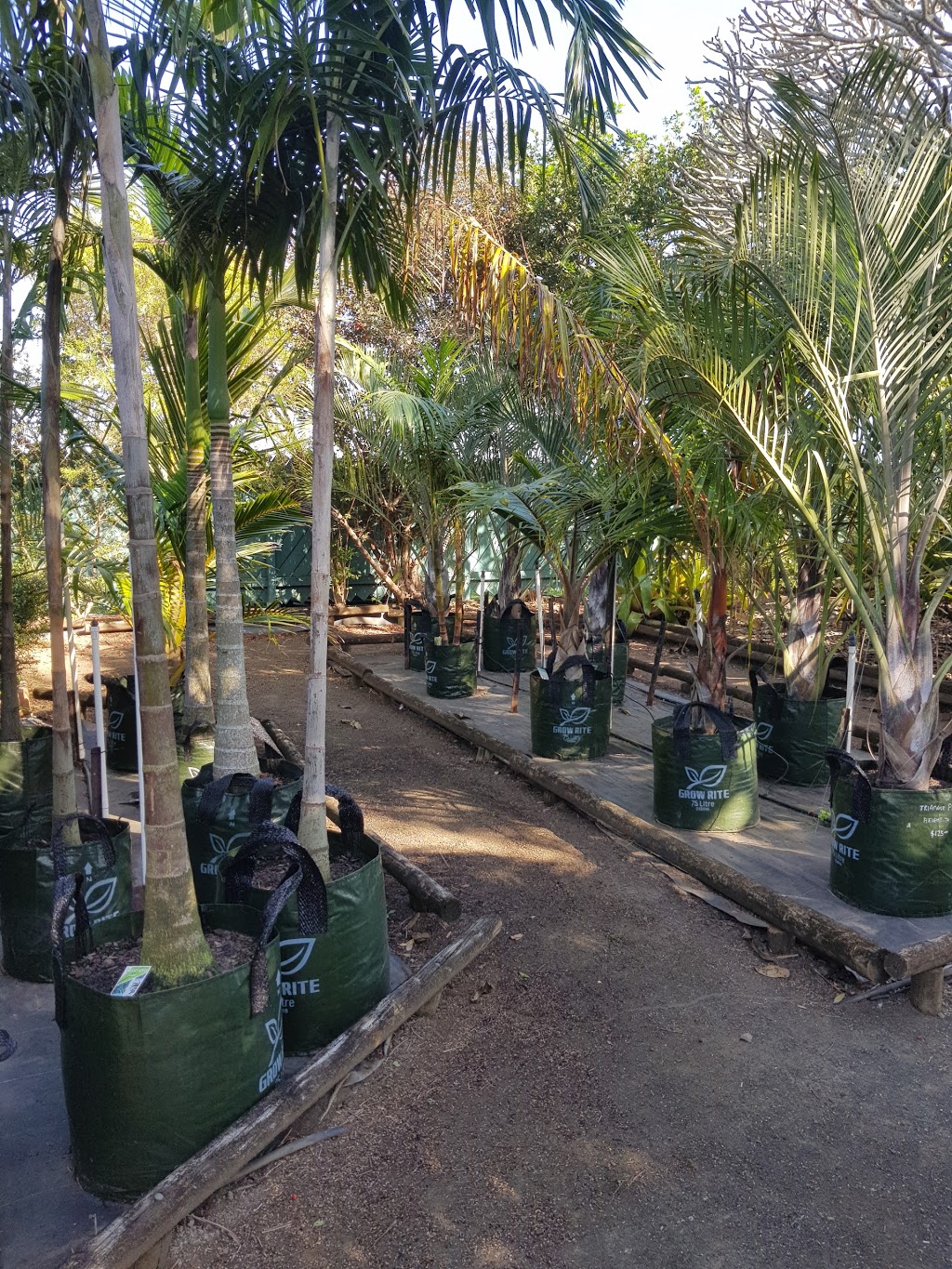 Tropical Paradise Nursery |  | 67 Bells Rd, Woongarra QLD 4670, Australia | 0741518036 OR +61 7 4151 8036