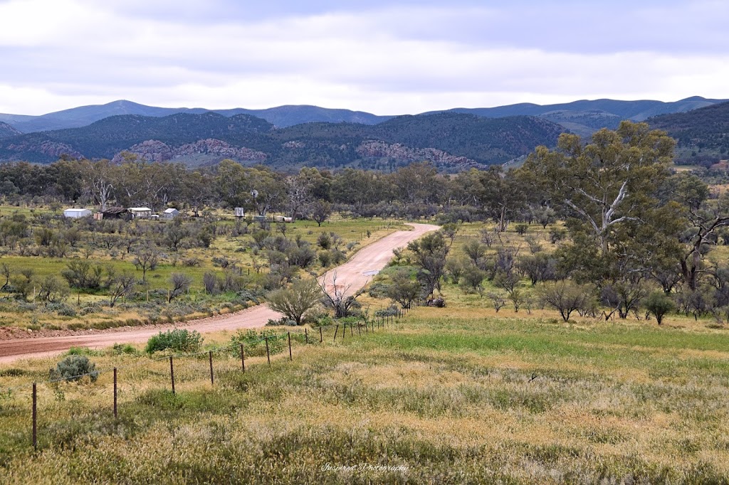 Probys Grave | cemetery | Yarrah SA 5433, Australia