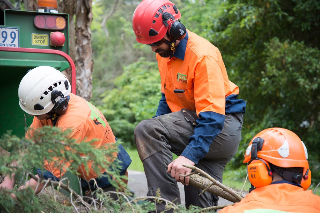 Tree Access VIC Pty Ltd |  | 45 Lewis Rd, Wandin North VIC 3139, Australia | 0458777452 OR +61 458 777 452