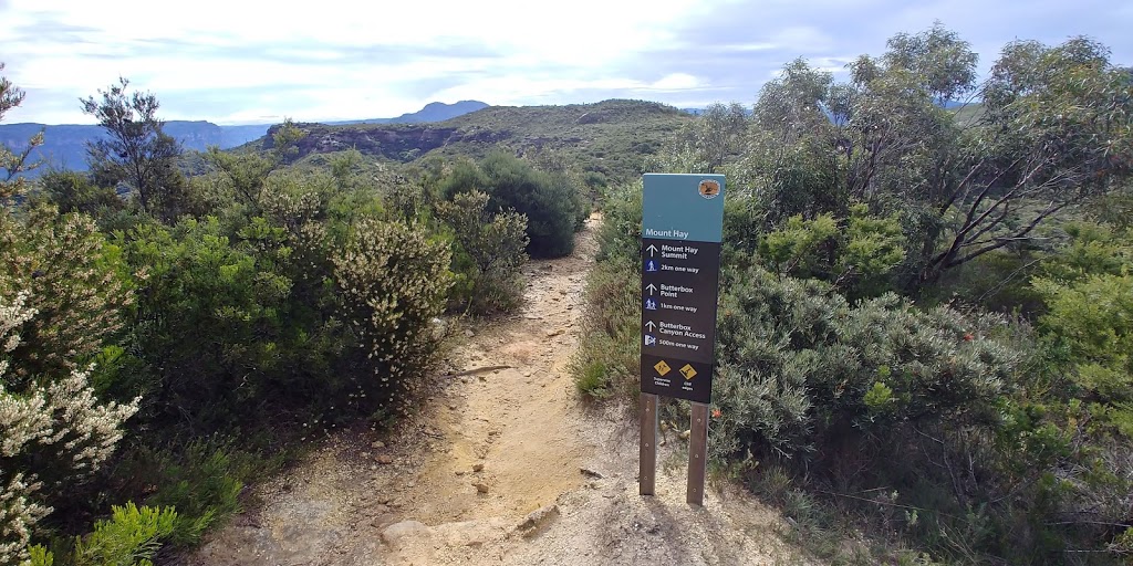 Mount Hay and Butterbox Point Car Park | Mount Hay Rd, Blue Mountains National Park NSW 2787, Australia