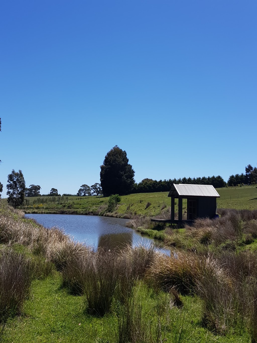 Abandon Stress | 64 Dairy Flat Rd, Musk VIC 3461, Australia | Phone: 0401 369 743