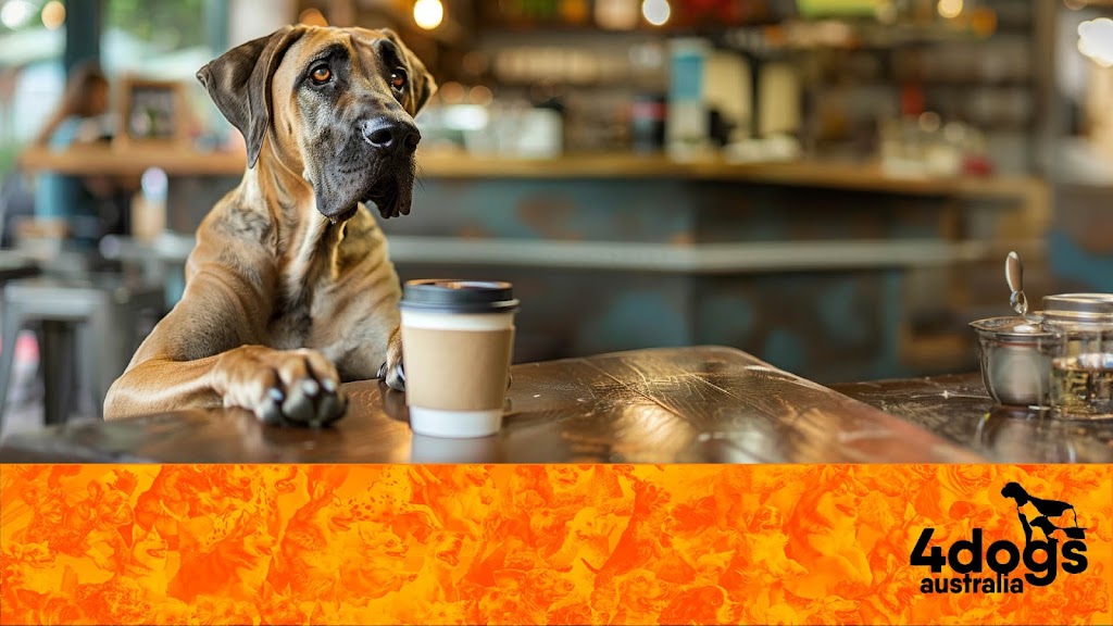4 Dogs Australia Pty Ltd. | Unit 323/33 Smith Dr, Ballina NSW 2478, Australia | Phone: 0411 163 811 4 Dogs Australia Pty Ltd. | Unit 323/33 Smith Dr, Ballina NSW 2478, Australia | Phone: 0411 163 811