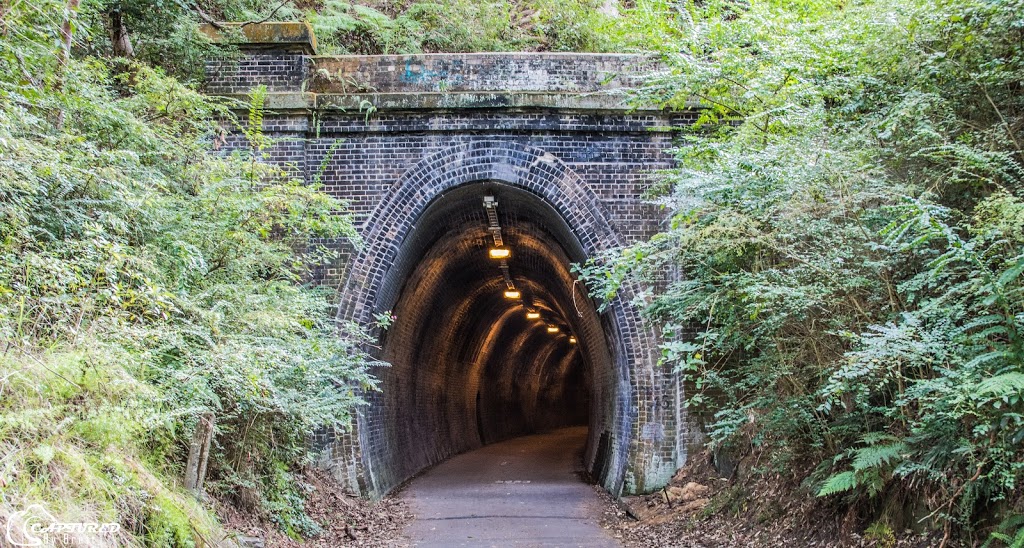 Fernleigh Track Tunnel | 34-42 City Rd, Adamstown Heights NSW 2289, Australia