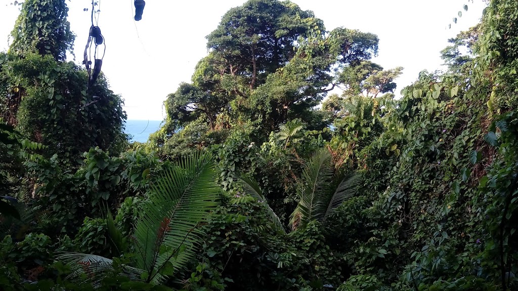 Bicton Hill, Clump Mountain National Park | Alexander Dr, Djiru QLD 4852, Australia