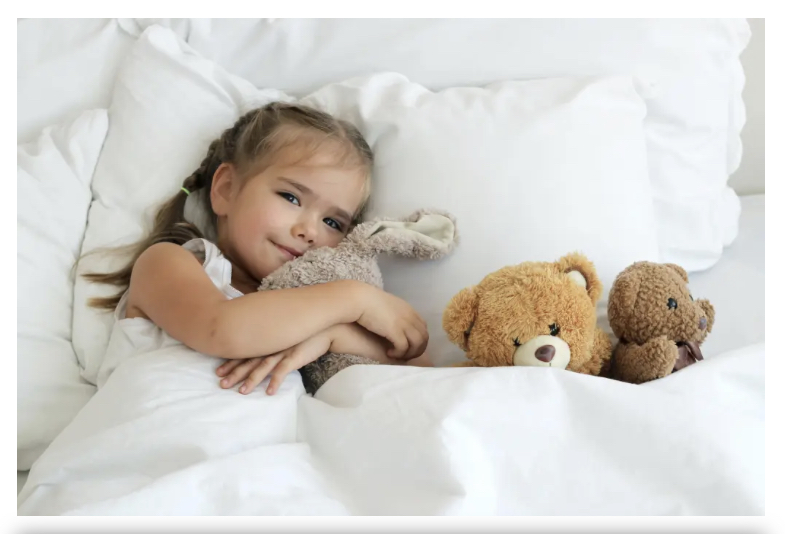 Pillow Rebels - Kapok pillow shop | 1 Yellow Box Ave, Springfield NSW 2250, Australia | Phone: 0411 038 338