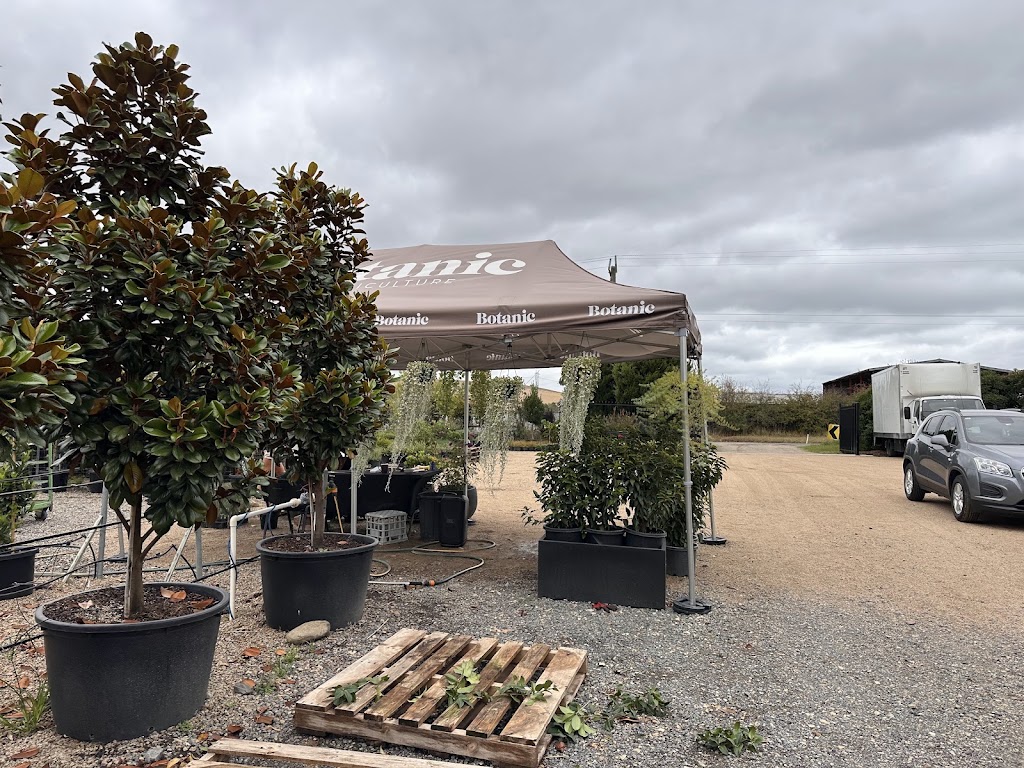 Botanic Nursery | 5 Lower Homestead Rd, Wonga Park VIC 3115, Australia | Phone: 0439 445 028