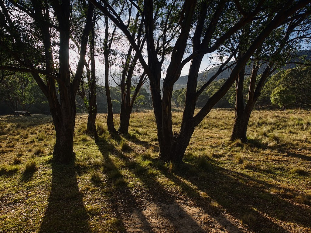 Mount Clear Campground | campground | Mount Clear ACT 2620, Australia