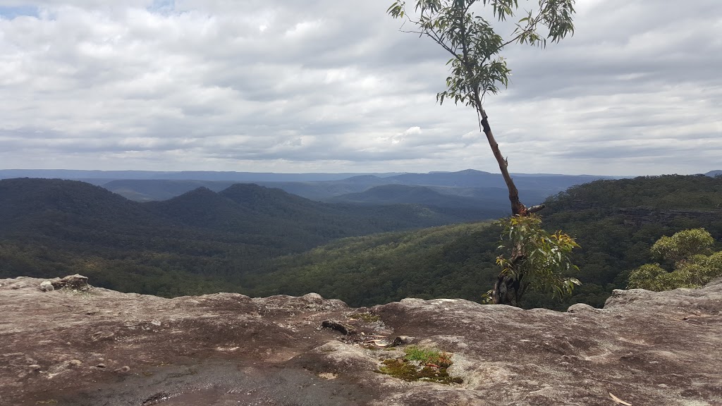 Yalwal State Forest | park | Buangla NSW 2540, Australia