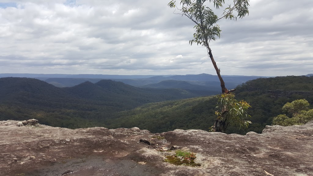 Yalwal State Forest | Buangla NSW 2540, Australia