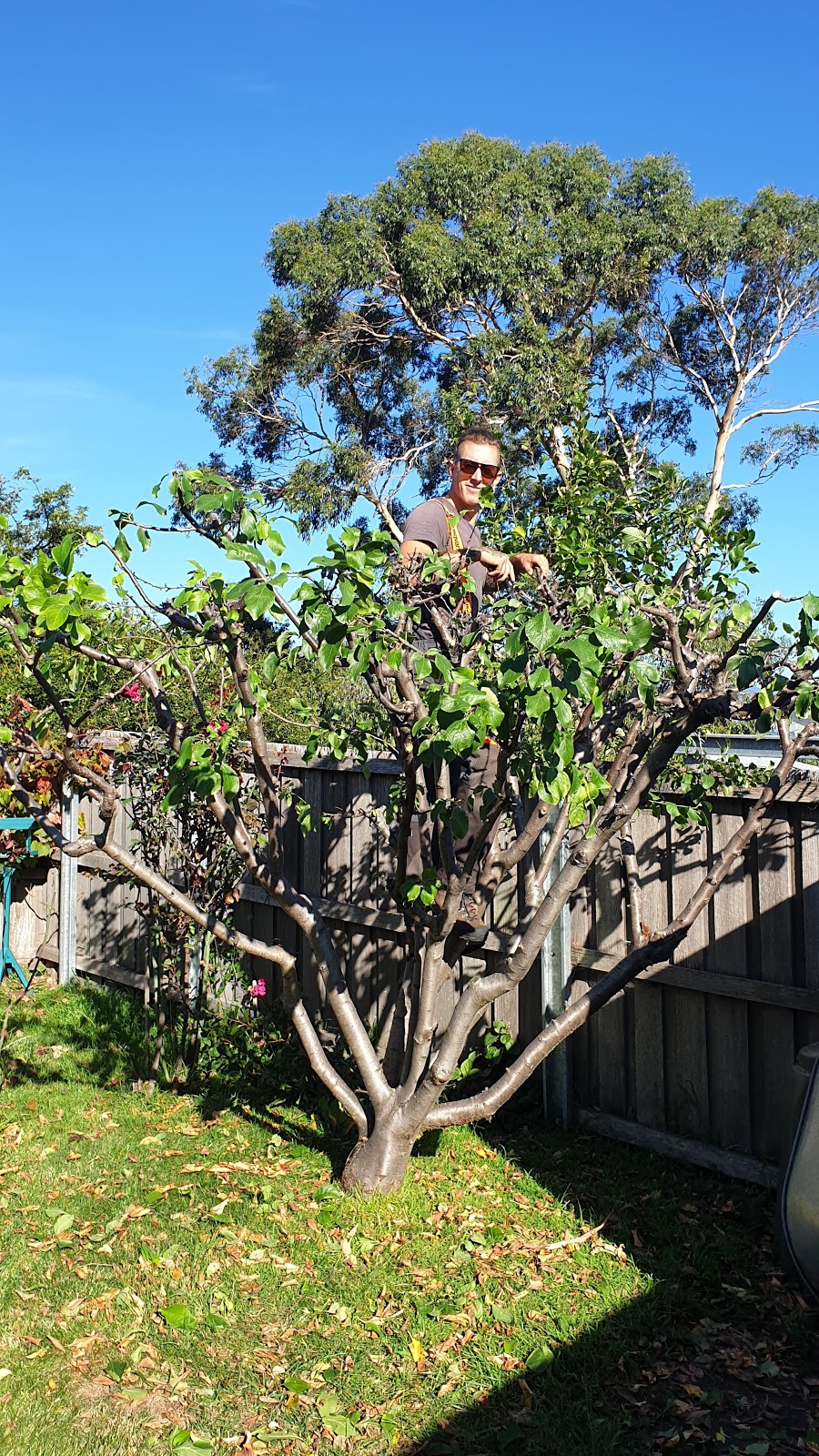 Arbor Co Tasmania | 51 Opus Dr, Acton Park TAS 7170, Australia | Phone: 0413 321 333