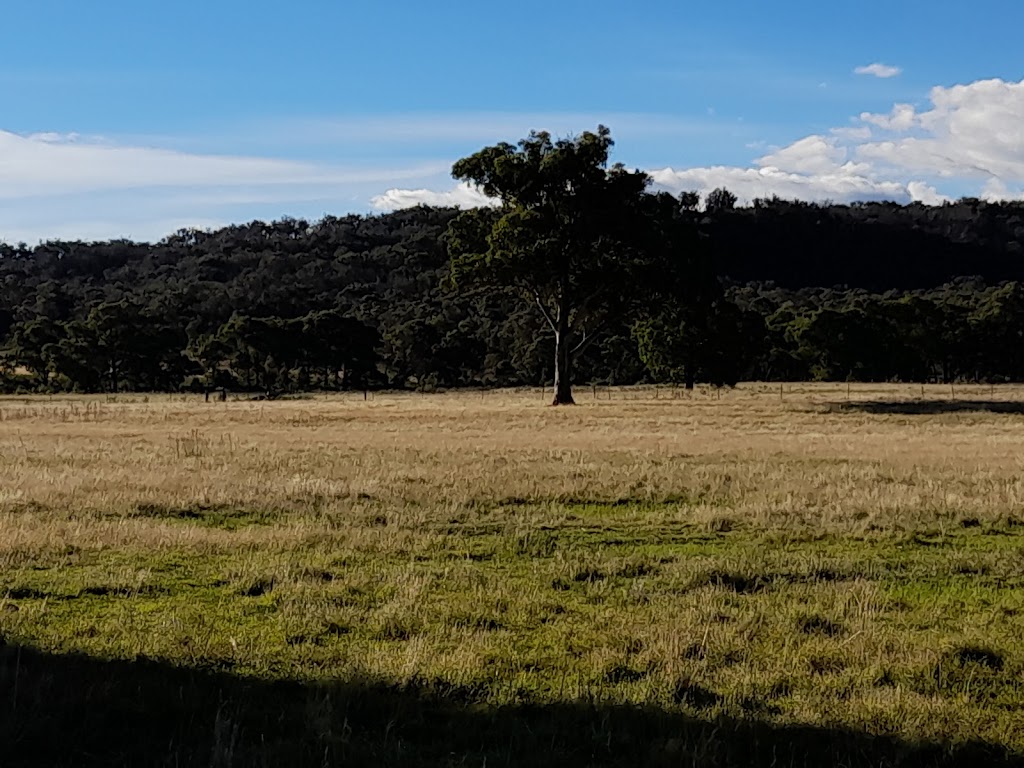 Parlour Mountain Farm, run by Hempel Enterprises Pty Ltd | 3206 Boorolong Rd Parlour Mountain Farm, Boorolong NSW 2350, Australia | Phone: 0407 755 888