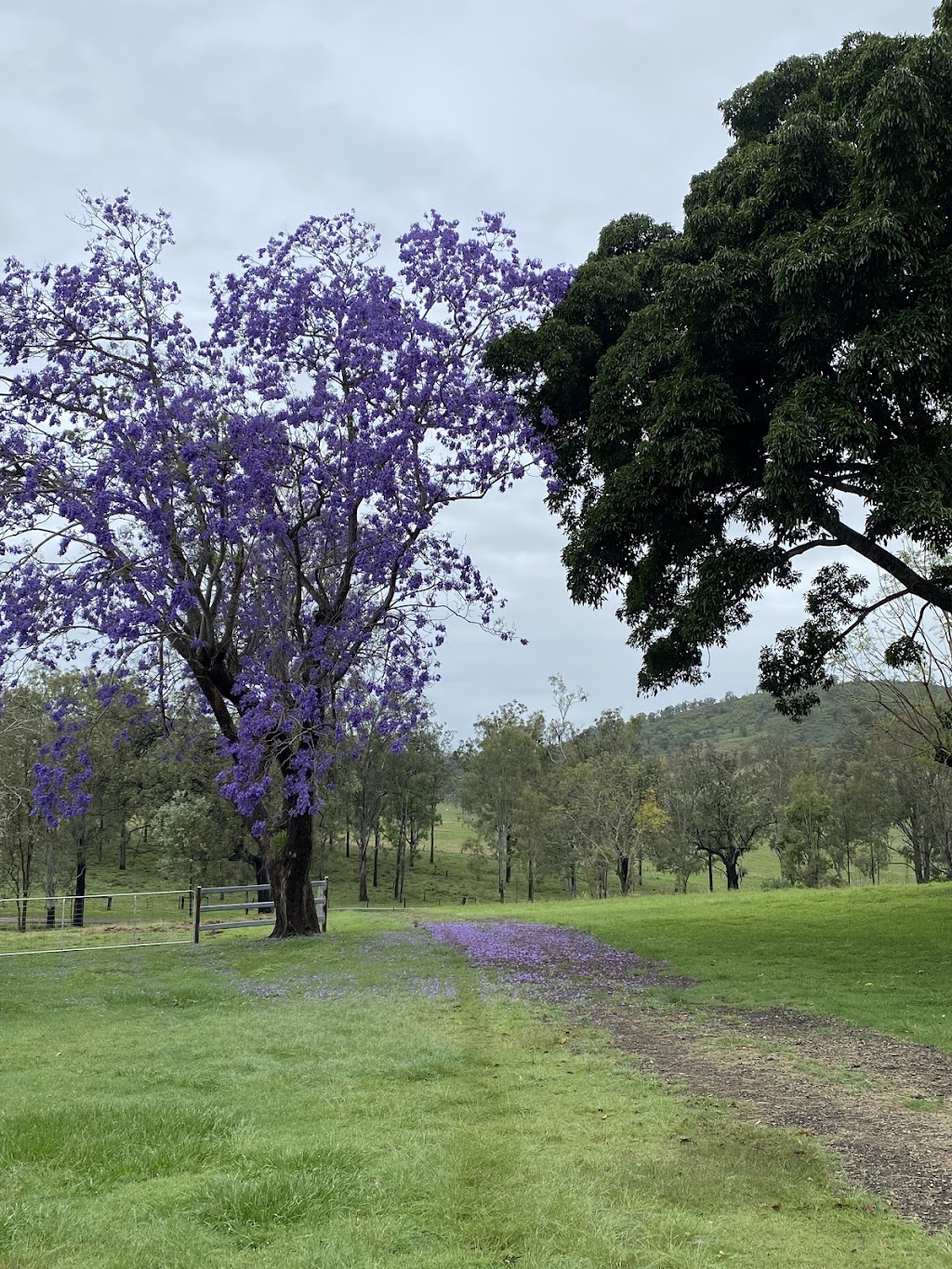 SamBrownCottage | 185 Brown Rd, Frazerview QLD 4309, Australia | Phone: 0413 057 006