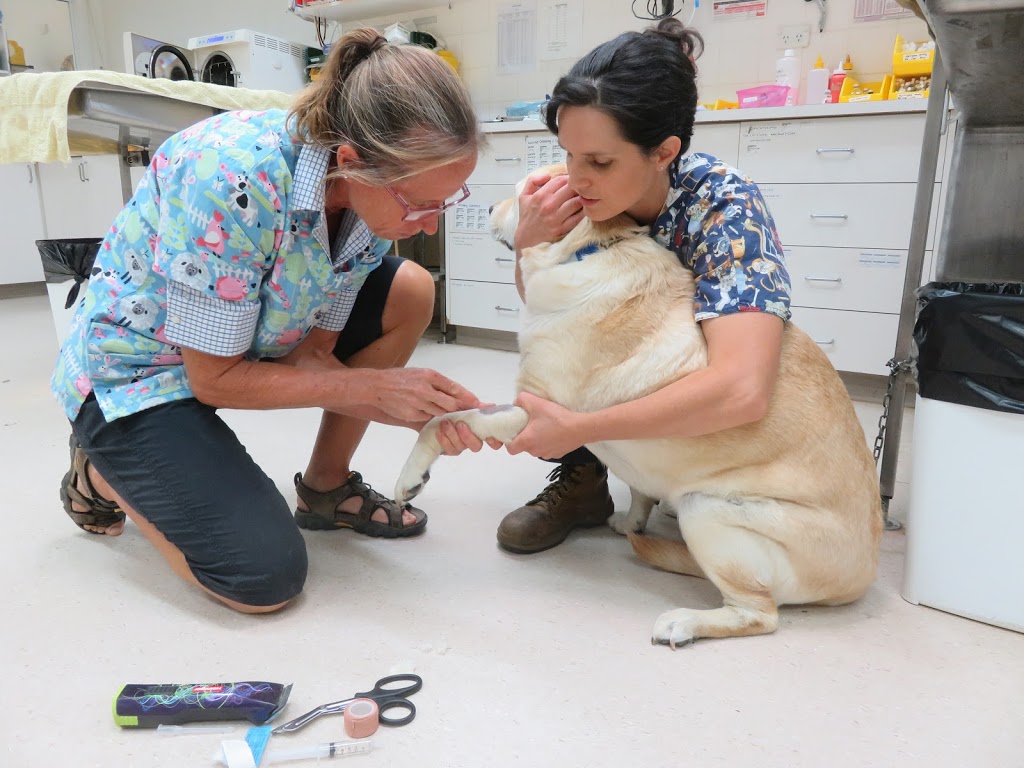 Shepparton Veterinary Clinic | 2 Wanganui Rd, Shepparton VIC 3631, Australia | Phone: (03) 5821 3188