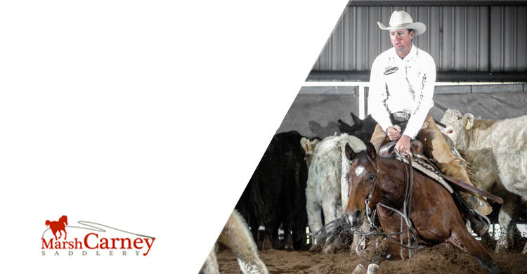 Marsh Carney Saddlery | 18 Talbragar St, Dubbo NSW 2830, Australia | Phone: (02) 6882 6441