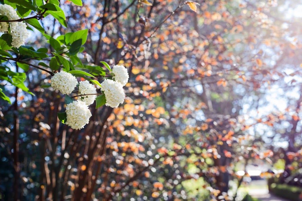 Stratford Gardens | Stratford House, 20 Rockford Rd, Tahmoor NSW 2573, Australia | Phone: 0477 083 688