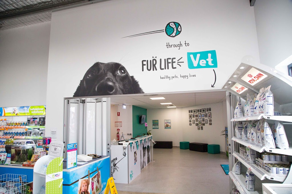 Fur Life Vet | veterinary care | 78/80 Midland Hwy, Epsom VIC 3551, Australia | 0354455966 OR +61 3 5445 5966