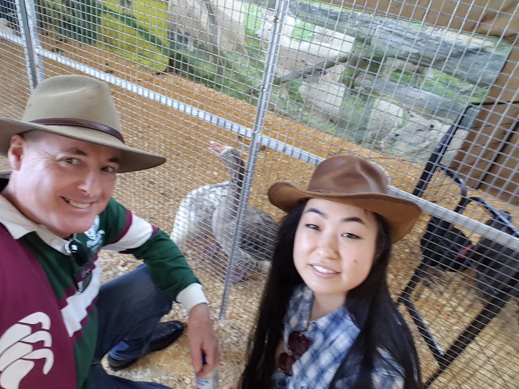 Mt Gravatt A H & I Society | 1644 Logan Rd, Mount Gravatt, Brisbane QLD 4122, Australia | Phone: (07) 3349 1801