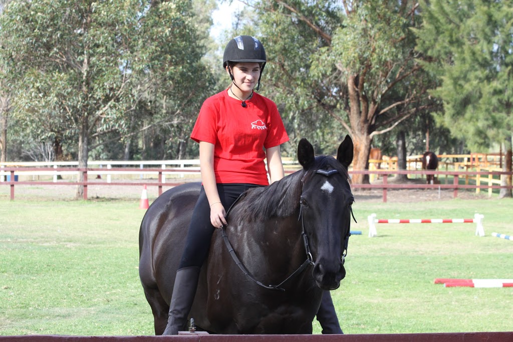 Perth Horse Riding Centre | travel agency | 73 Twelfth Rd, Perth WA 6112, Australia | 0418943776 OR +61 418 943 776