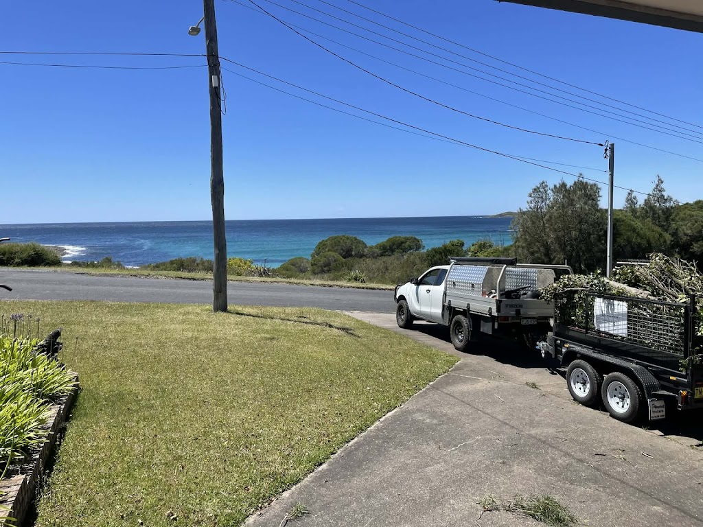 JSF Gardens | 23 Iluka Cres, Mollymook NSW 2539, Australia | Phone: 0420 936 018