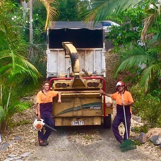 Monkey Business Tree Service | Nambour Bli Bli Road, Bli Bli QLD 4560, Australia | Phone: 0415 142 911