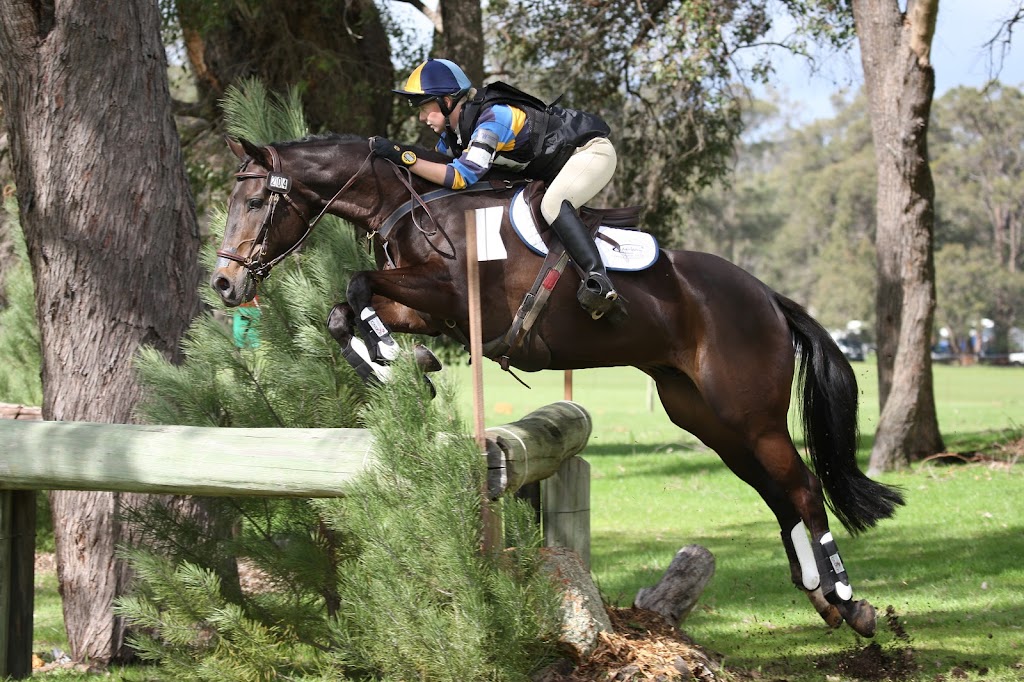 Sophie Warren Equestrian | 1510 Anketell Rd, Mount Helena WA 6082, Australia | Phone: 0418 117 383