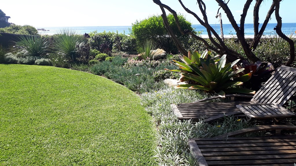 GreenCare Garden Services | Whale Beach Rd, Avalon Beach NSW 2107, Australia | Phone: 0415 320 912