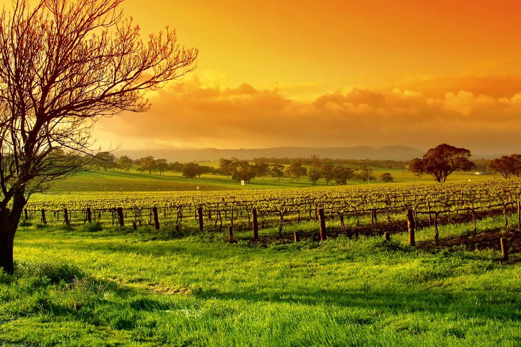 Yarra Valley Winery Tours | travel agency | 17 Hightech Pl, Lilydale VIC 3140, Australia | 1300496766 OR +61 1300 496 766