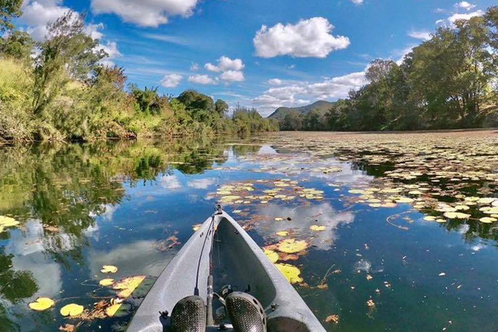 Mary Valley Country | travel agency | Shop 2/46 Main St, Kandanga QLD 4570, Australia | 0488969408 OR +61 488 969 408