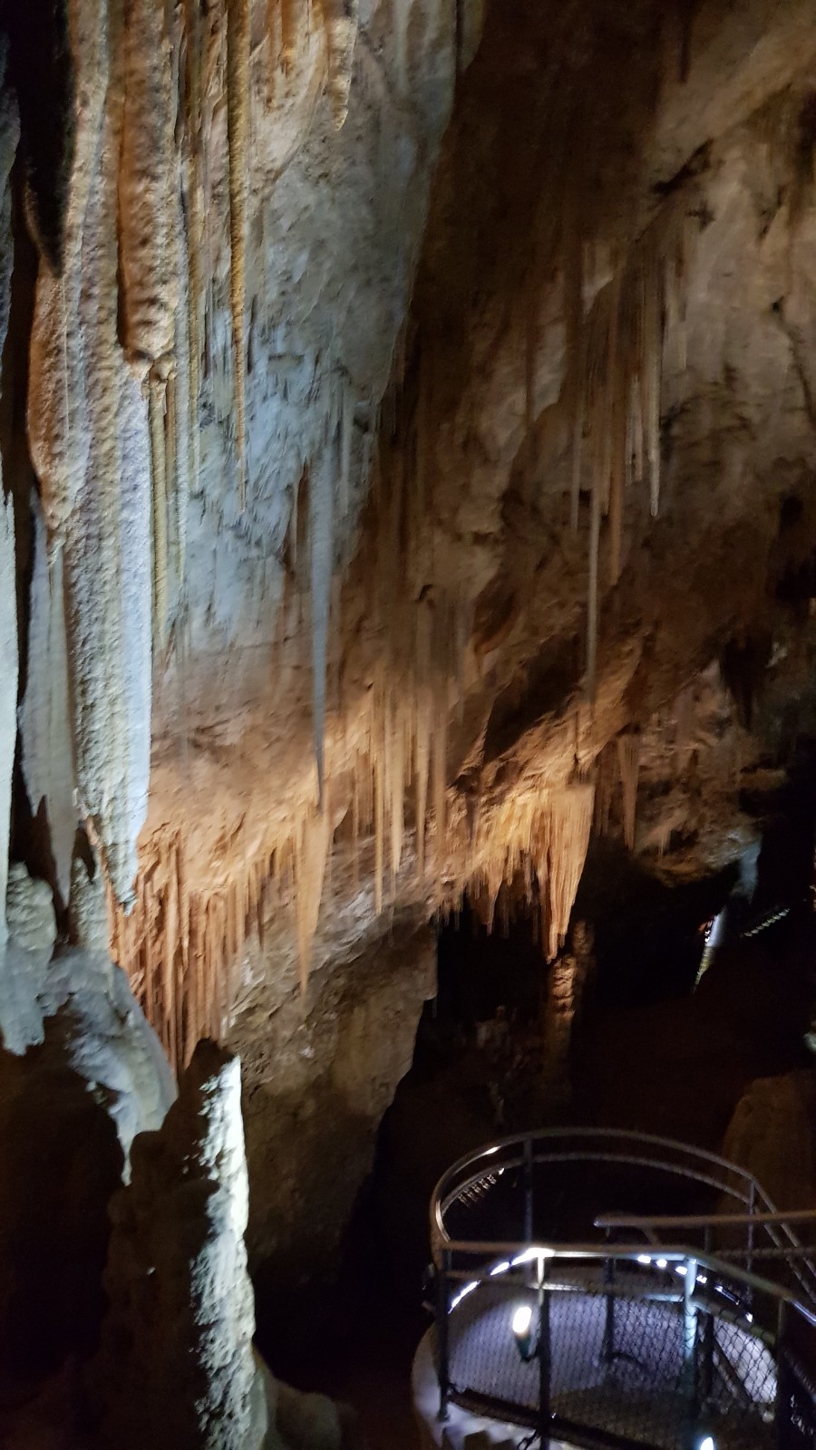 Hastings Caves State Reserve | park | Hastings TAS 7109, Australia