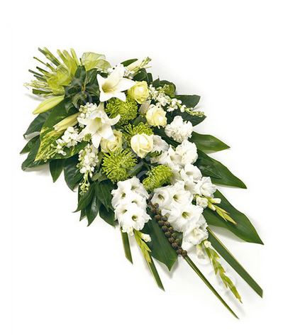 White Dove Funeral Care | 9/365 S Gippsland Hwy, Dandenong South VIC 3175, Australia | Phone: 1800 067 782