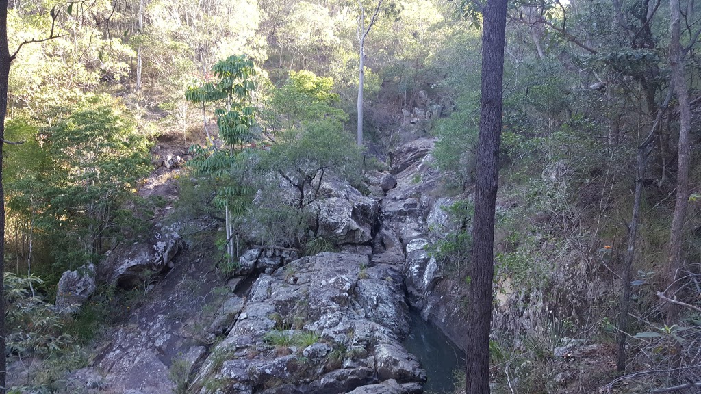 Range View Picnic Area | park | Sir Samuel Griffith Dr, Mount Coot-Tha QLD 4066, Australia