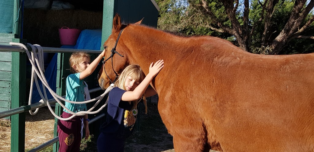 Horses Teaching Humans | health | Rubyvale, Laggan NSW 2583, Australia | 0248373397 OR +61 2 4837 3397