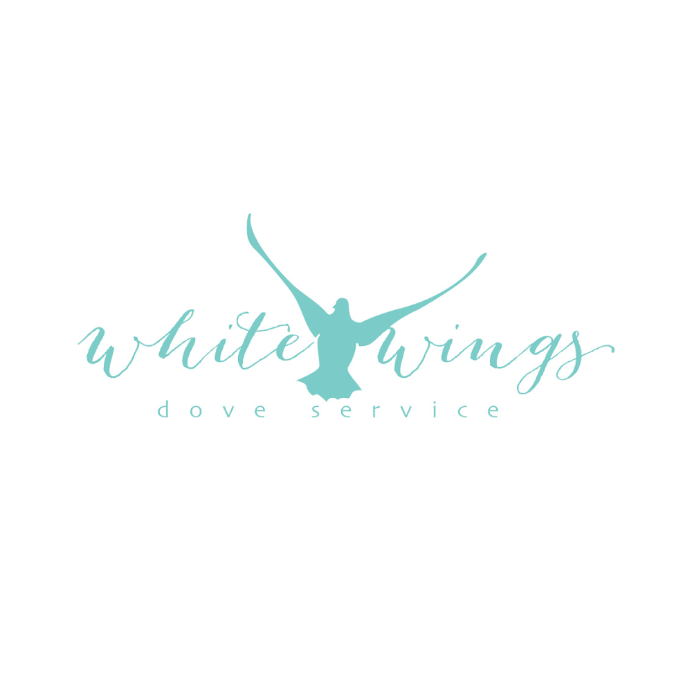 White Wings Dove Services | cemetery | 241 King St, Caboolture QLD 4510, Australia | 0405623953 OR +61 405 623 953