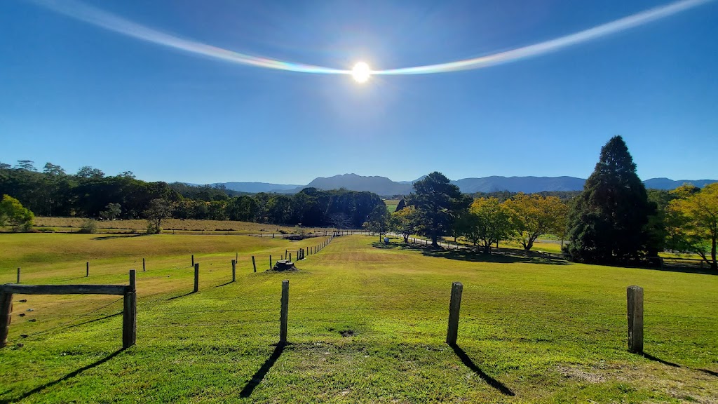 Hilltop at The Lodge | 1381 Waterfall Way, Bellingen NSW 2454, Australia | Phone: (02) 6655 9276