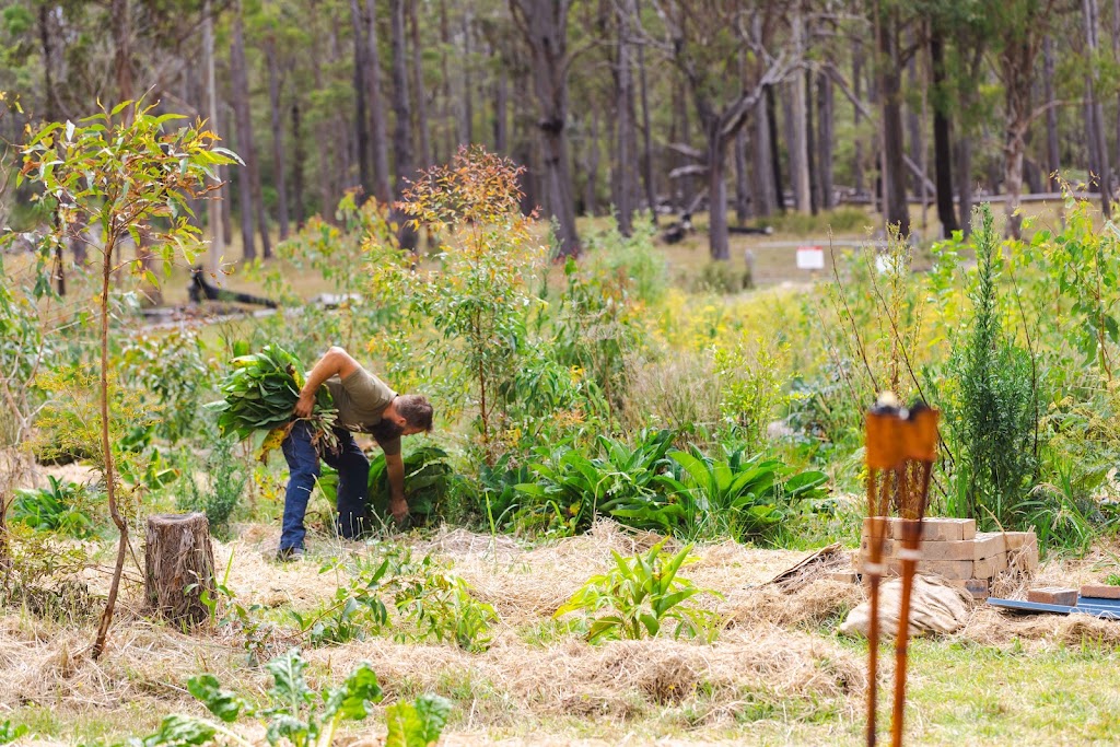 Chaffin Creek Farm | 233 Firth Heinz Rd, Pillar Valley NSW 2462, Australia | Phone: 0423 325 281